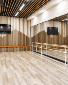 Software for Dance Studios